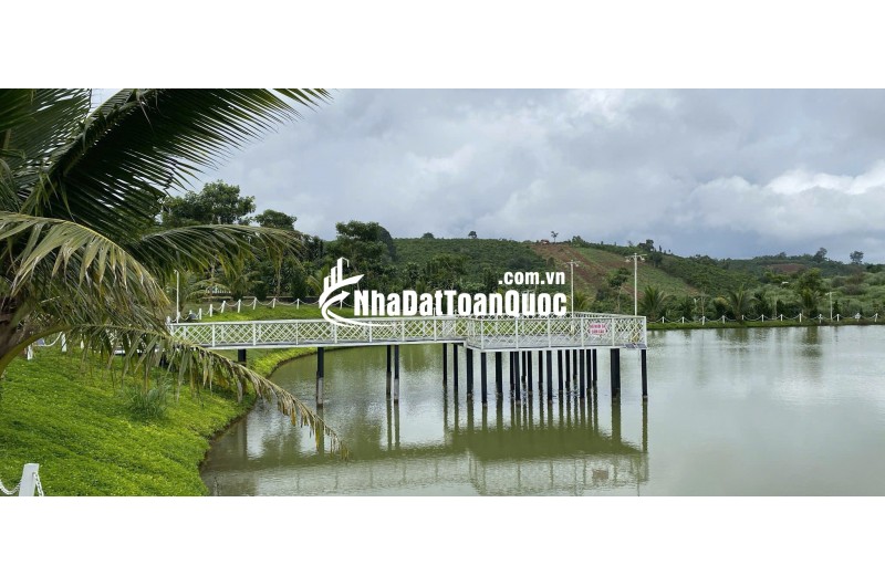 Cơ hội đầu tư sinh lời cao – dự án NaLi Chill - Homestay and BBQ vị trí vàng ngay tại Bảo Lộc